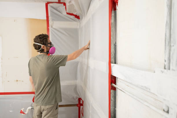 Best Forensic Mold Investigation  in Warrior, AL