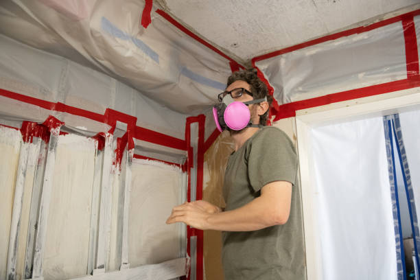 Trusted Warrior, AL Mold Removal Experts