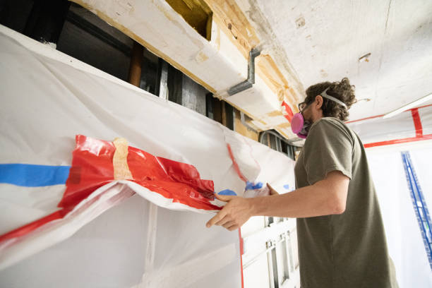 Best Mold Damage Restoration  in Warrior, AL