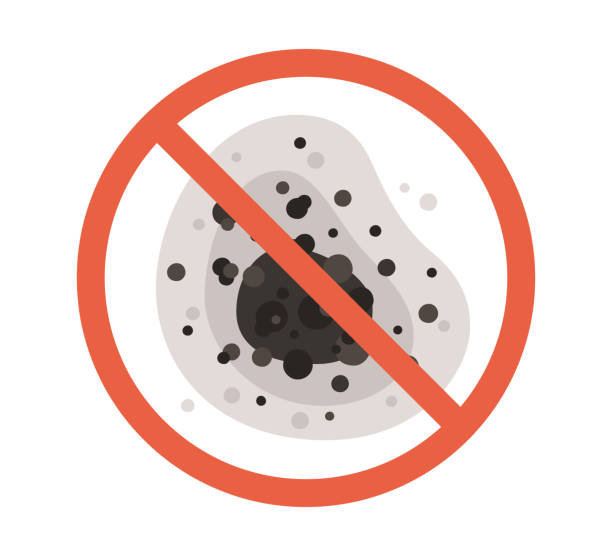 Best Biohazard Mold Removal  in Warrior, AL