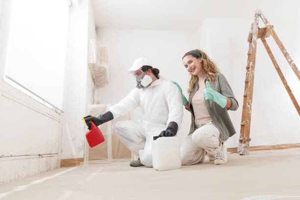 Best Mold-Related Health Consultation  in Warrior, AL
