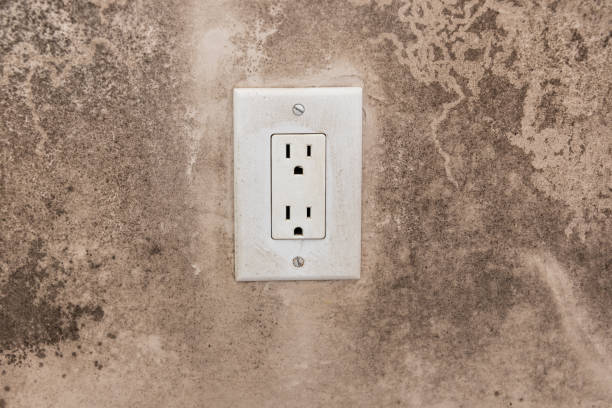 Best Dehumidification Services  in Warrior, AL