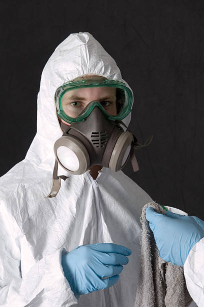 Best Basement Mold Removal  in Warrior, AL