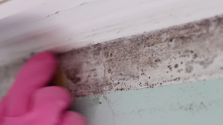 Best Indoor Air Quality Assessment  in Warrior, AL